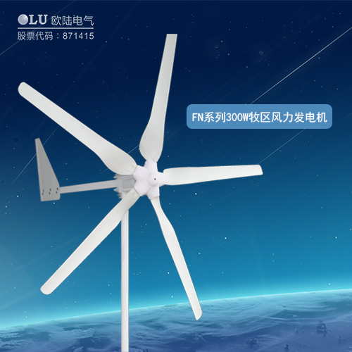 FN系列300W牧區(qū)風(fēng)力發(fā)電機